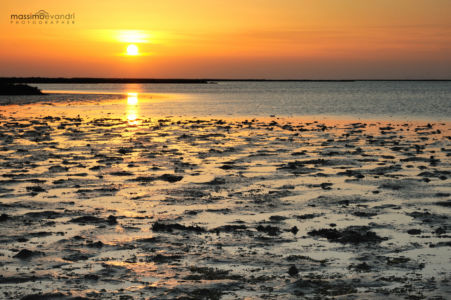 2014- 04- 00813 Camargue