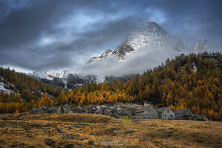 Alba A Cianciavero